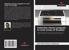 Induction stoves program in rural areas of Ecuador kitap kapağı