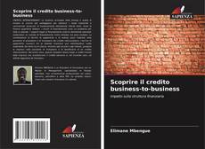 Capa do livro de Scoprire il credito business-to-business 