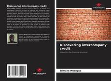 Borítókép a  Discovering intercompany credit - hoz