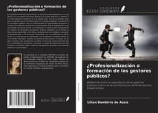 Buchcover von ¿Profesionalización o formación de los gestores públicos?