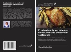 Producción de cereales en condiciones de desarrollo sostenible的封面