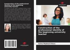 Capa do livro de Construction of the professional identity of the beginning university teacher 