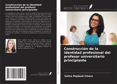 Construcción de la identidad profesional del profesor universitario principiante kitap kapağı