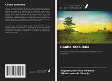 Buchcover von Caoba brasileña