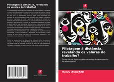 Borítókép a  Pilotagem à distância, revelando os valores do trabalho? - hoz