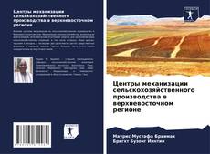 Buchcover von Центры механизации сельскохозяйственного производства в верхневосточном регионе