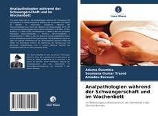 Portada del libro de Analpathologien während der Schwangerschaft und im Wochenbett