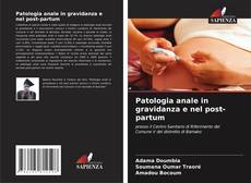 Обложка Patologia anale in gravidanza e nel post-partum