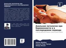 Buchcover von Анальная патология при беременности и в послеродовом периоде