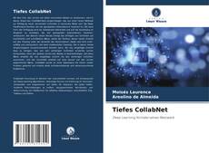 Buchcover von Tiefes CollabNet