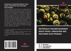 MATÉRIAUX MAGNÉTIQUEMENT DOUX POUR L'INDUSTRIE DES MACHINES ÉLECTRIQUES的封面