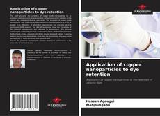 Copertina di Application of copper nanoparticles to dye retention