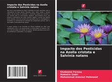 Borítókép a  Impacto dos Pesticidas na Azolla cristata e Salvinia natans - hoz