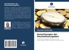 Auswirkungen der Haushaltsausgaben kitap kapağı