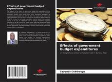 Copertina di Effects of government budget expenditures