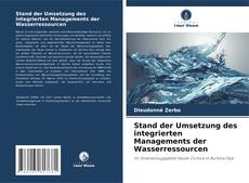 Couverture de Stand der Umsetzung des integrierten Managements der Wasserressourcen