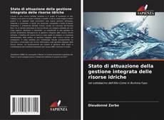 Buchcover von Stato di attuazione della gestione integrata delle risorse idriche