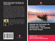 Portada del libro de Estudo da Corrosão de Metais em Vários Ambientes - Um Estudo de Curto Prazo