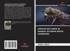 AFRICAN RICE MIDGE IN MAROUA (EXTREME NORTH CAMEROON) kitap kapağı
