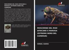Buchcover von MOSCERINO DEL RISO AFRICANO A MAROUA (ESTREMO NORD DEL CAMERUN)
