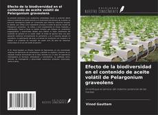 Обложка Efecto de la biodiversidad en el contenido de aceite volátil de Pelargonium graveolens