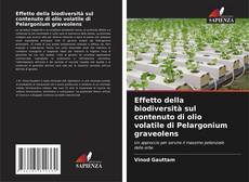 Capa do livro de Effetto della biodiversità sul contenuto di olio volatile di Pelargonium graveolens 