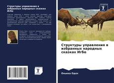 Portada del libro de Структуры управления в избранных народных сказках Игбо
