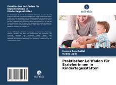 Praktischer Leitfaden für Erzieherinnen in Kindertagesstätten kitap kapağı