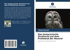 Das kamerunische Strafrecht auf dem Prüfstand der Hexerei kitap kapağı