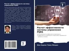 Обложка Расчет эффективности системы управления PQRS