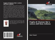 Обложка Faglia di Chaman Nal e sutura dell'Asia indiana