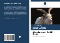 Dünndarm der Gaddi-Ziege kitap kapağı