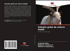 Copertina di Intestin grêle de chèvre Gaddi