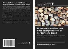 Обложка El uso de la madera con fines energéticos en el nordeste de Brasil