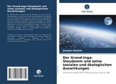 Copertina di Der Grand-Inga-Staudamm und seine sozialen und ökologischen Auswirkungen