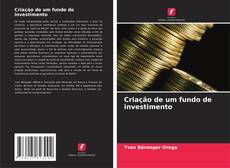 Bookcover of Criação de um fundo de investimento