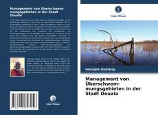 Management von Überschwem-mungsgebieten in der Stadt Douala kitap kapağı