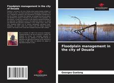 Buchcover von Floodplain management in the city of Douala