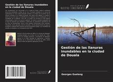 Bookcover of Gestión de las llanuras inundables en la ciudad de Douala