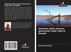 Gestione delle pianure alluvionali nella città di Douala的封面