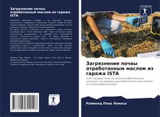 Buchcover von Загрязнение почвы отработанным маслом из гаража ISTA