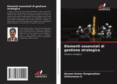 Elementi essenziali di gestione strategica kitap kapağı