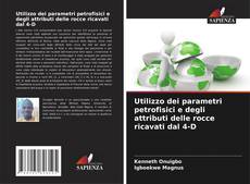 Buchcover von Utilizzo dei parametri petrofisici e degli attributi delle rocce ricavati dal 4-D