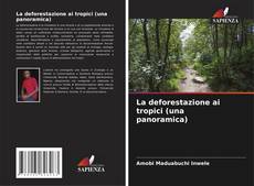 La deforestazione ai tropici (una panoramica)的封面