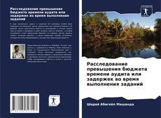 Buchcover von Расследование превышения бюджета времени аудита или задержек во время выполнения заданий