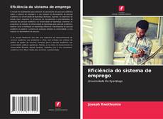 Eficiência do sistema de emprego的封面