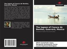 Copertina di The lagoon of Coyuca de Benitez, Guerrero, Mexico