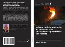 Bookcover of Influencia del metacaolín en los materiales refractarios aglomerados con fosfato
