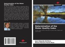 Borítókép a  Determination of the Water Quality Index - hoz