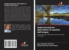 Copertina di Determinazione dell'indice di qualità dell'acqua